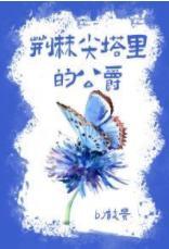 荆棘尖塔裏的公爵封面