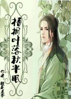 梧桐叶落秋半眠封面