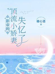 季念念宋清砚封面