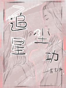 追星尘功封面