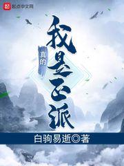 我真的是正派封面