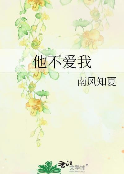 他不爱我封面