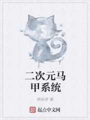 次元马甲系统封面