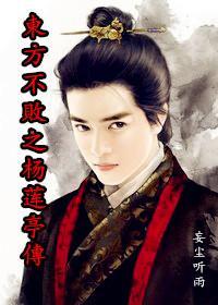 东方不败之杨莲亭传封面