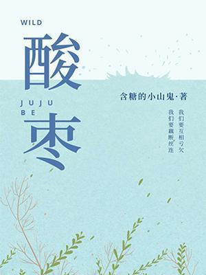 酸枣封面
