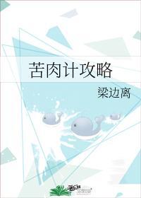 苦肉计攻略封面