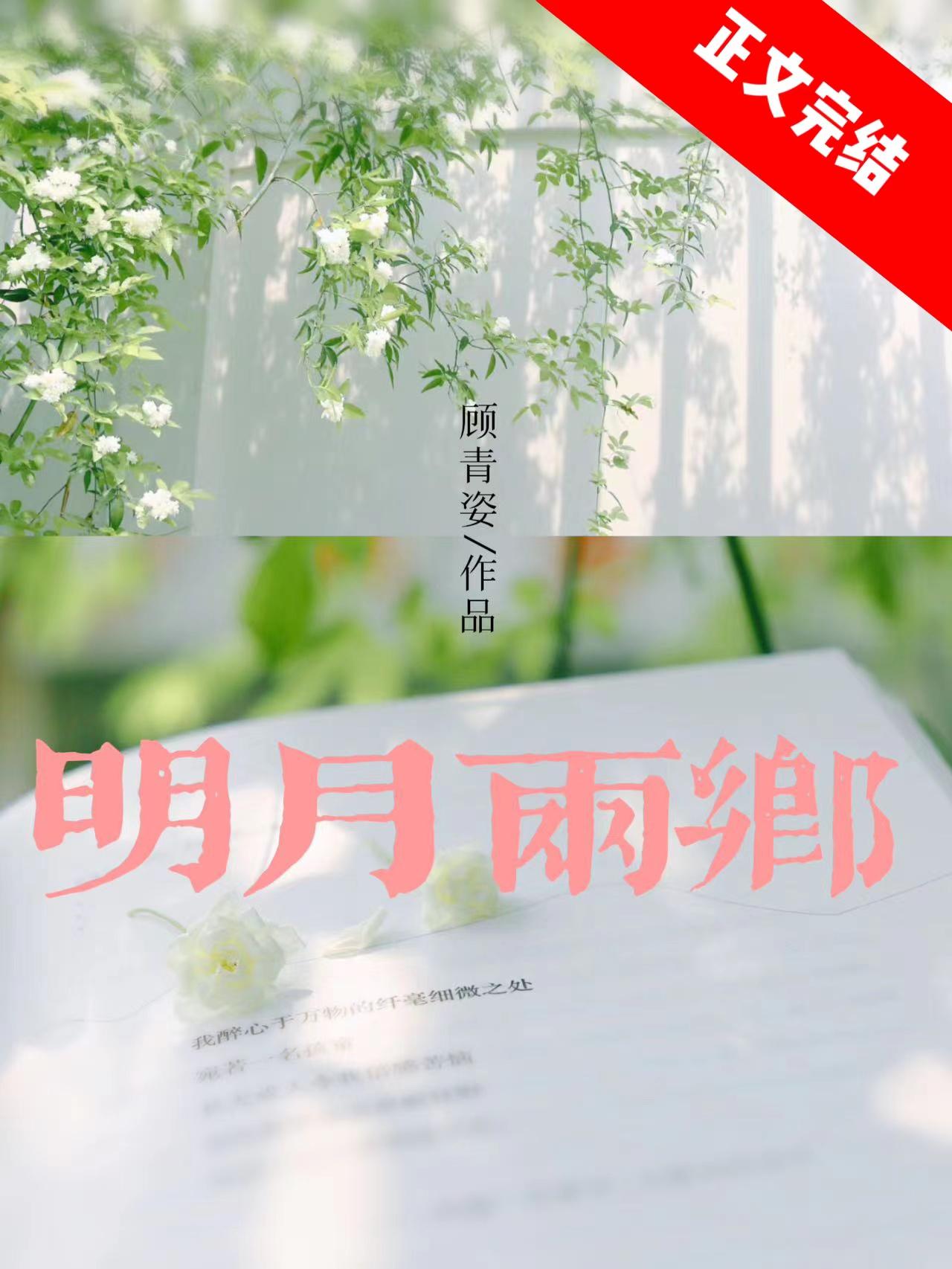 明月两乡封面