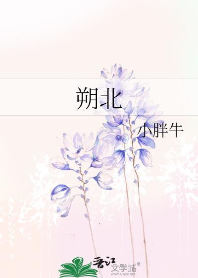 朔北封面