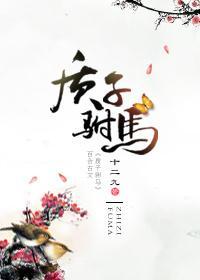 质子驸马封面