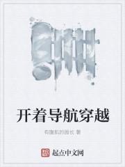 开着导航穿越封面