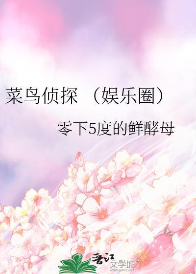 菜鸟侦探 （娱乐圈）封面