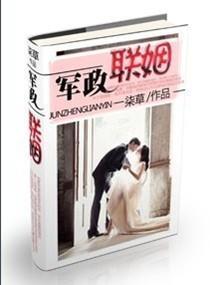 军政联姻封面