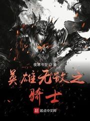 英雄无敌之骑士封面