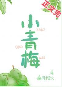 小青梅封面