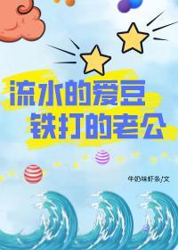 流水的爱豆，铁打的老公封面