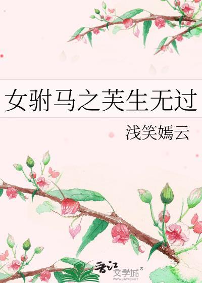 女驸马之芙生无过封面