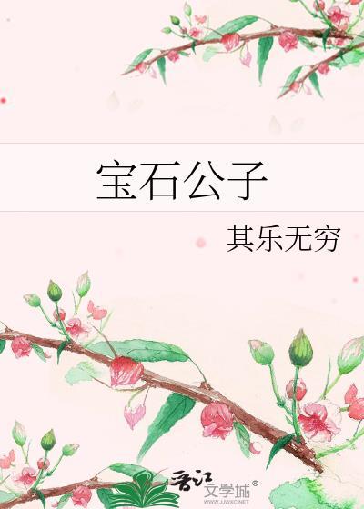 宝石公子封面