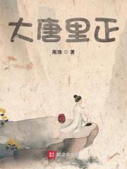 大唐里正封面