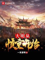 大明从慎重开始封面