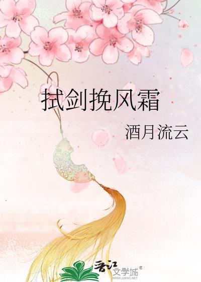 拭剑挽风霜封面