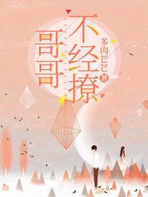 哥哥不经撩封面