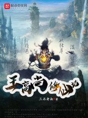 王高尚修仙记封面