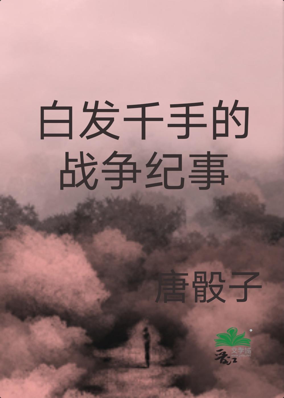 白发千手的战争纪事封面