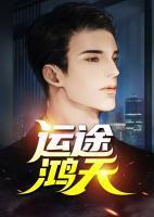 运途鸿天封面