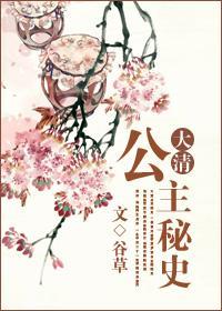 大清公主秘史封面