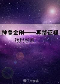 神兽金刚——再踏征程封面