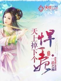 天上掉下个悍王妃封面
