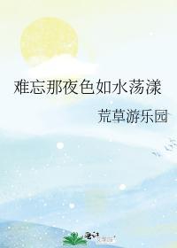 难忘那夜色如水荡漾封面