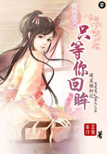 只等你回眸封面