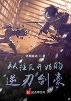 从柱灭开始的逆刃剑豪封面
