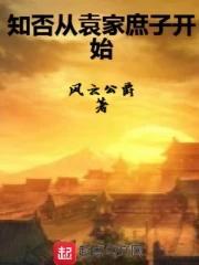 知否从袁家庶子开始封面