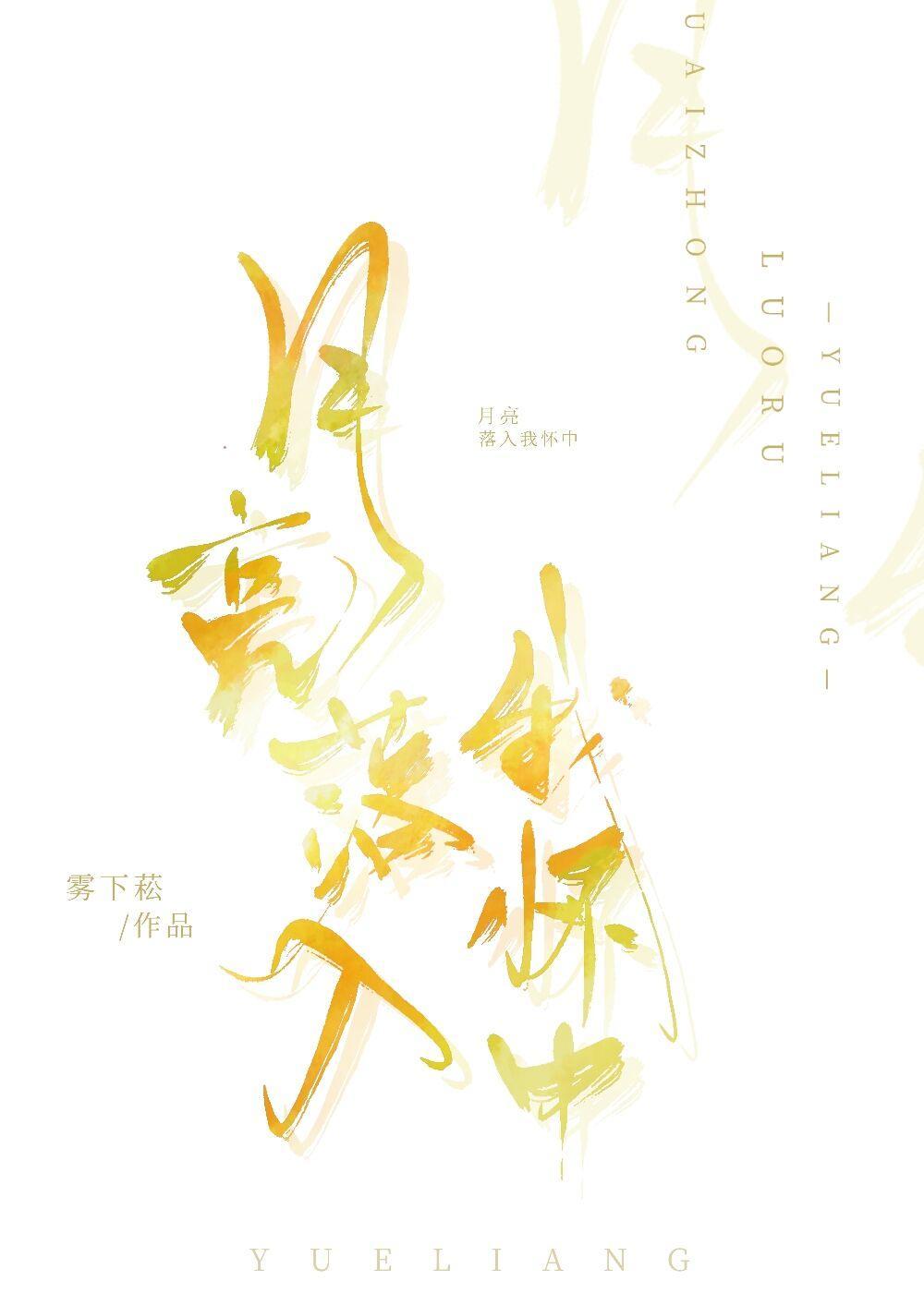 月亮落入我怀中封面