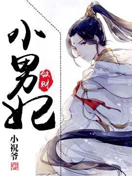 敛财小男妃封面