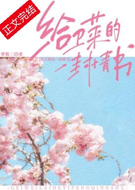 给卫莱的一封情书封面