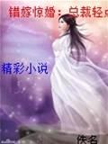 错嫁惊婚:总裁轻点爱封面