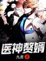 医神赘婿封面