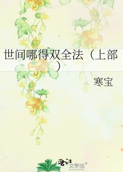 世间哪得双全法（上部）封面
