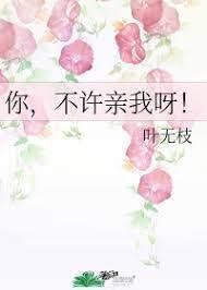 你,不许亲我呀!封面
