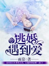 逃婚遇到爱封面
