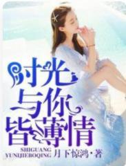你与时光皆薄情封面