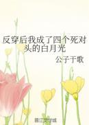 反穿后我成了四个死对头的白月光封面