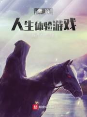 我的人生体验游戏封面