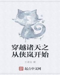穿越诸天之从侠岚开始封面