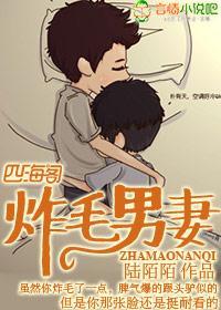 炸毛男妻封面