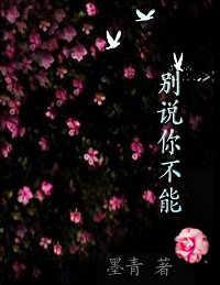 别说你不能:爱,需要阴谋封面