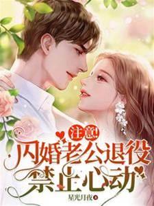 註意!闪婚老公退役,禁止心动封面